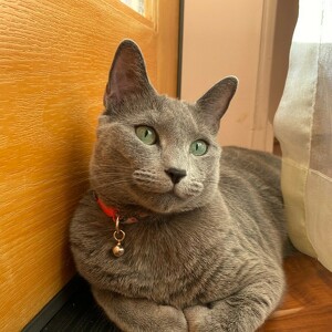 Fundraising Page: X Mouti